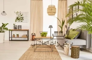 ديكور داخلي بسيط